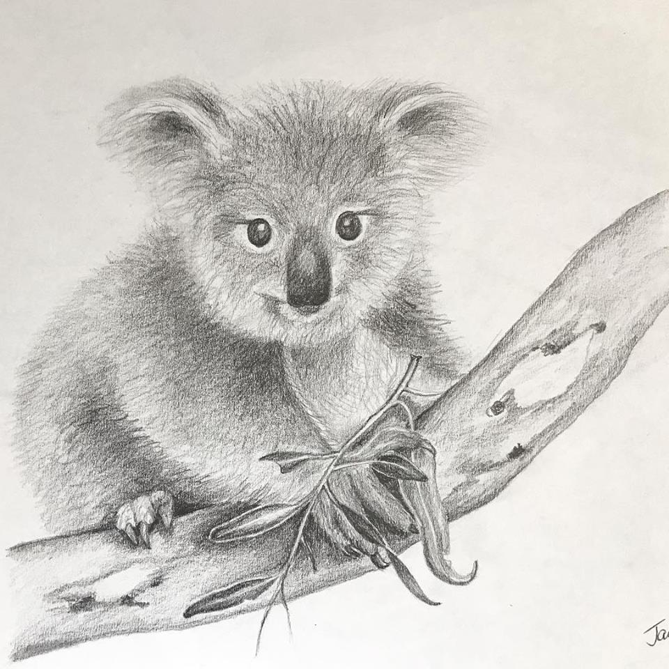Tazi koala pencil