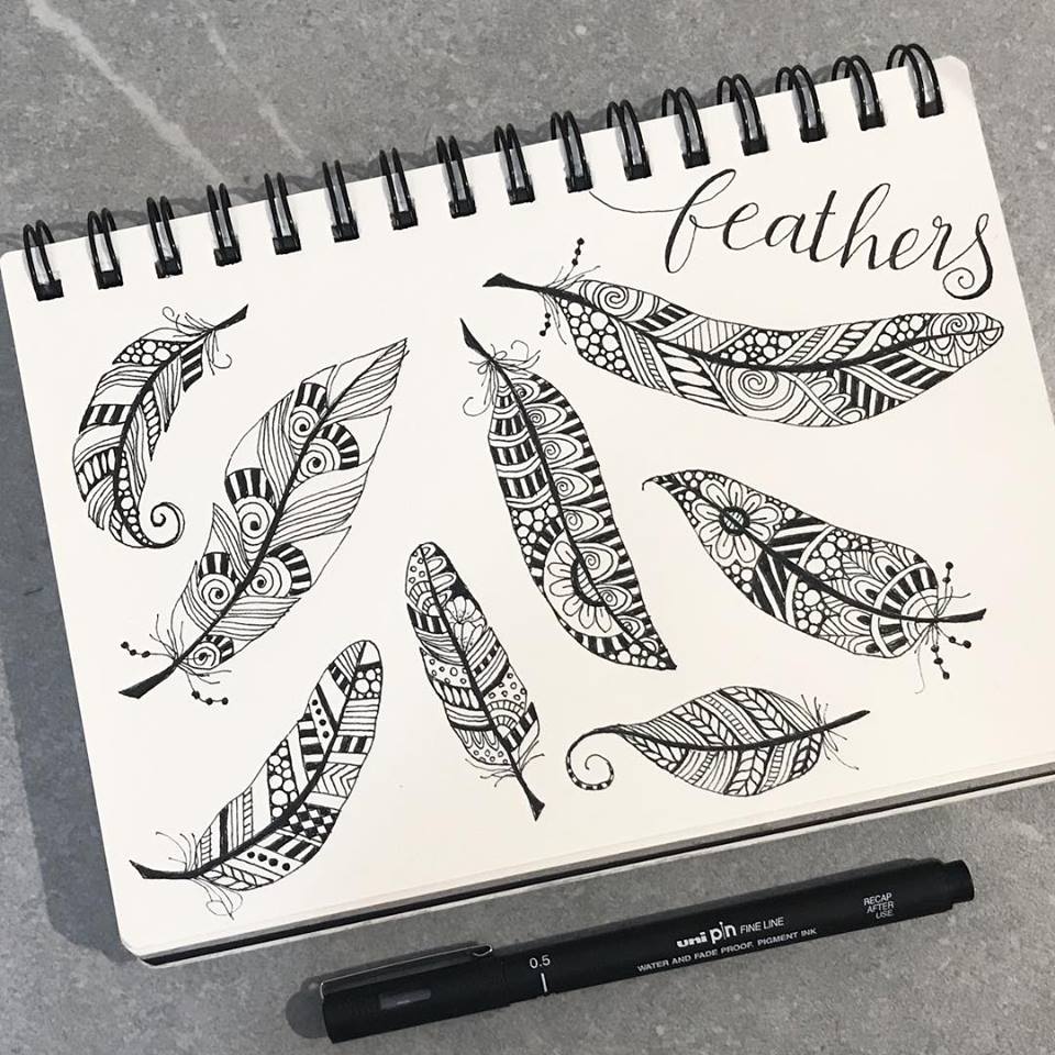 Tazi doodle feathers