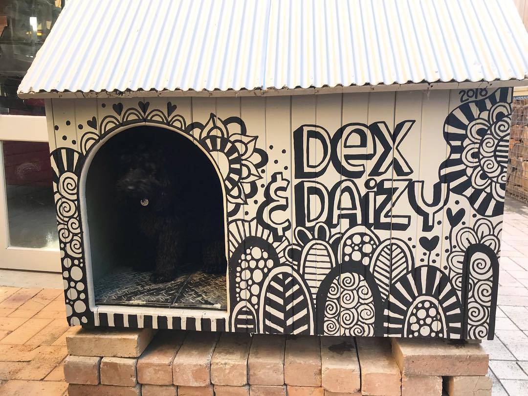 Tazi dog kennel